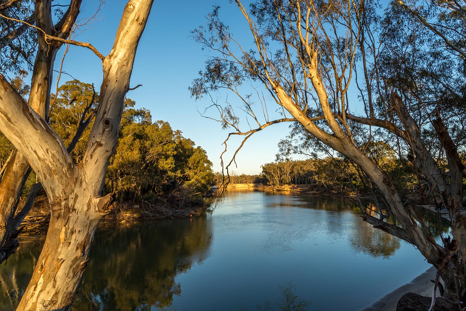 Stormwater Diversion & Trade Waste Treatment Systems – Quality, Performance, Compliance River landscape with Australian gum trees representing stormwater diversion and trade waste treatment systems trusted worldwide